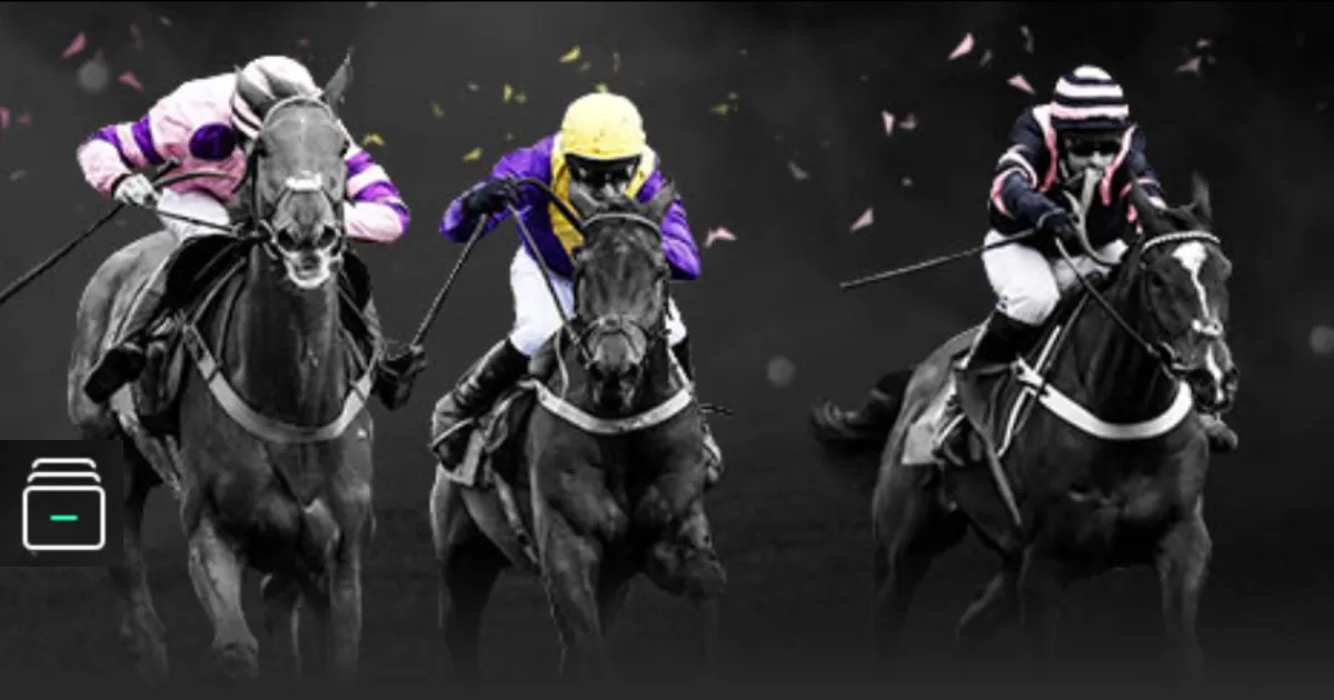 第三轮中央,生态环保督,察第三批反,NBA常规赛,NBA赛程,NBA篮球资讯,NBA比赛数据,篮球赛事信息