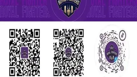 “2025女足世界杯：丹麦国家队简介”